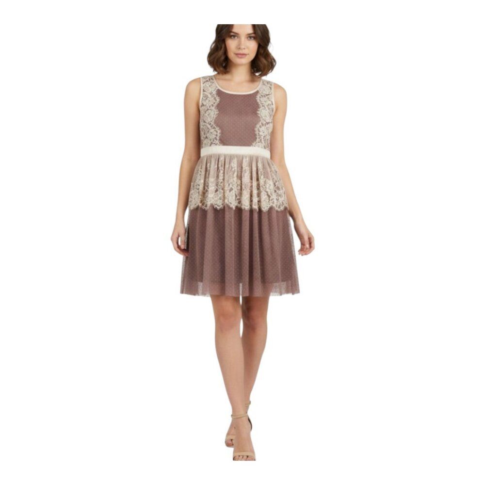 Areve Dress Lace Tulle Mesh Fully Lined Holiday Party Recital Twee Balletcore